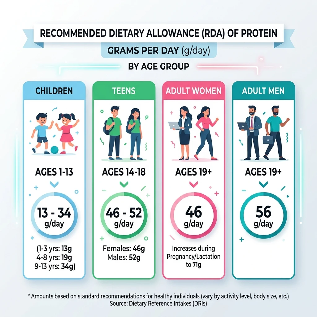 Infographic showing standard Recommended Dietary Allowance (RDA) of protein by age and gender categories.